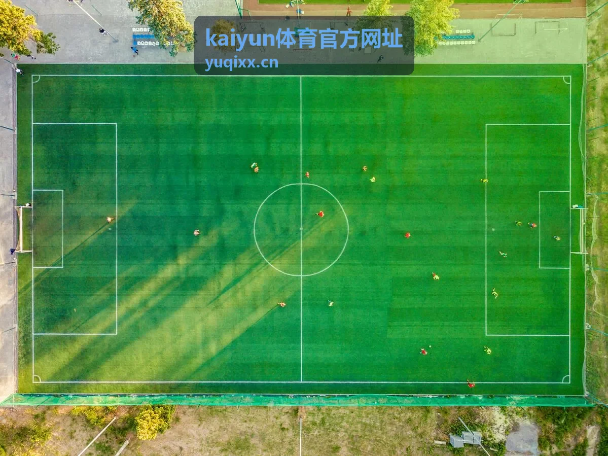 kaiyun体育官方网址安全访问问答资料说明配图