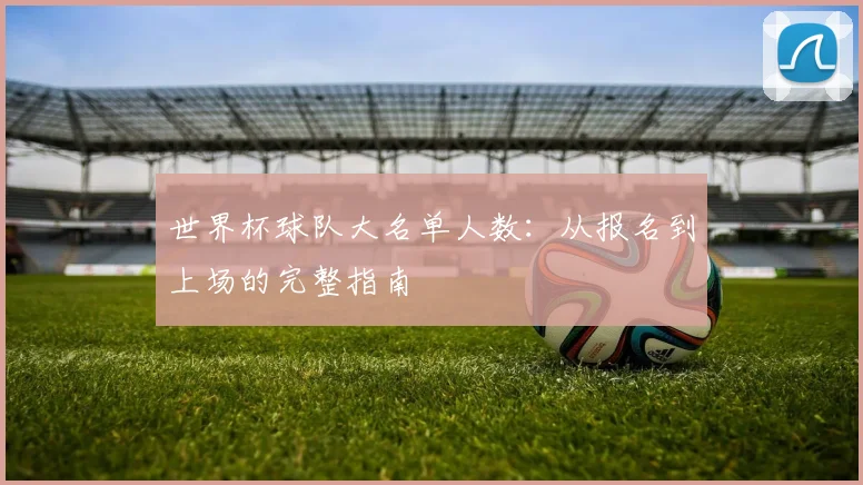 世界杯球队大名单人数：从报名到上场的完整指南